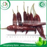 spice dry red Chilli
