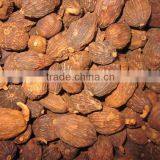 Vietnam Black Cardamom Supplier (Ms. Emma:+84965152844) thumbnail-3