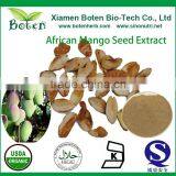 African Mango Seed Extract Irvingia Gabonensis Seed Extract thumbnail-1