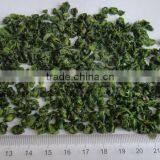 Dry Beans thumbnail-1