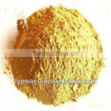 2012 Dried Ginger Powder for Export thumbnail-1