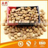 Bitter Apricot Kernels thumbnail-1