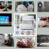 Industrial Trepang/Sea Cucumber Microwave Vacuum Dryer thumbnail-2