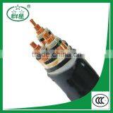 High Voltage Cable thumbnail-1
