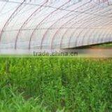 PE Agricultural Film/PE Greenhouse Film/PE Mulch Film thumbnail-1