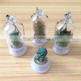 Wholesale Factory Cheap Glass Potted Meaty Cactus Plant Keychain, Super Mini Personal Gift Decorative Keychain Plant Design thumbnail-2