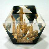 Clear Resin Casting Custom Lucite Paperweight thumbnail-2