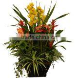 Wholesale Black Color Home Decor Table Flower Planter thumbnail-1