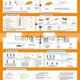 P1058 Life Saving Signal Solas 1 Poster thumbnail-1