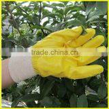 Safety Cotton Interlock Yellow Nitrile Coated Safety Glove thumbnail-2