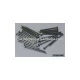 Common Nail/ Nail thumbnail-1