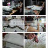 Henan Warm House Industries Co., Ltd. company overview - view 2 thumbnail