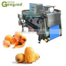 Custom Design Apple Belt Press Juice Machine thumbnail-1