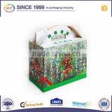 Custom Printed Corrugated Cardboard Box Vegetables for Fruit and Vegetable