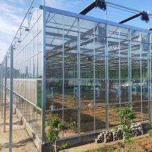 Agricultural Custom China Wholesale Glass for Greenhouses for Outdoors thumbnail-4