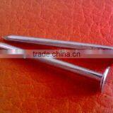 Big Head Clout Nail thumbnail-6