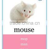 Memory Card Printing thumbnail-1