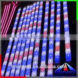 High Quality Led Rope Light 5050, SMD 5050 Flexible Strips Light, IP65 12v Red Strip thumbnail-1