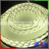 High Lumen 5050 Led Strip,RGBW Rope Light SMD5050 LED Change Color Strip Light thumbnail-2