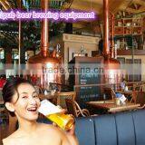 Beer Brewing Kit,Restaurant Brewing Beer Equipment,Micro Pub Beer Brewing Equipment thumbnail-1