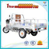 Cargo Electric Tricycle Adults