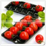 Custom Plastic Bakery Packaging thumbnail-1