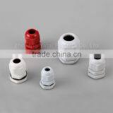 Cable Gland (PG Thread) thumbnail-1