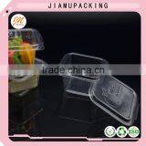 Disposable Clear Plastic Ice Cream Container Size