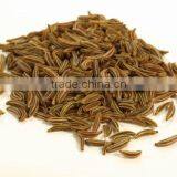 CUMIN SEED MACHIN CLEAN thumbnail-3