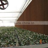 Greenhouse cooling pad wall