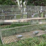 Rabbit Farming Breeding Cages, Metal Animal Husbandry Rabbit Cage thumbnail-5