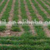 Farm Tractor Use Universal Planting Machine Wheat Planter Rice Planter Sorghum Planter Grass Planter With Disk Plough thumbnail-6