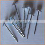 Top Quality Lead Roofing Nails Trusted Chuanghe Suppliers From Com thumbnail-6