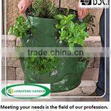 Herb Planting Bag,Growing Bag With Pockets