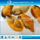 IQF Iqf Cooked Mussel Meat thumbnail-1