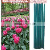 Raw Material Bamboo Sticks thumbnail-1