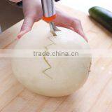 Trade Assurance China Supplier for Fruit Knife Melon Baller and Watermelon Slicer thumbnail-4