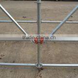 Four Way Round Ringlock System Scaffolding for Sale thumbnail-2