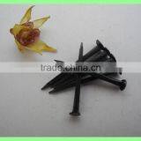 Fine Blue Shoe Tacks / Fine Blue Shoe Nails thumbnail-3