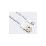 1.2m 2m Ipod / Iphone Sync Cables For Data Transfer / Charging