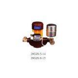 Self-Priming Automatic Boosting Pump CL-0016