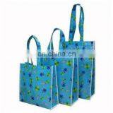 Non-woven Shopping Bag