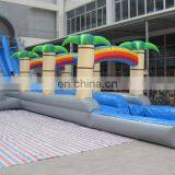 High Quality and Cheap Giant Coconut Palm Water Slide With Pool WS040