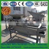 Hot Sale Hazelnut Pecan Nuts Dehulling Cracking Nut Huller Cracker Breaking Almond Shelling Machine thumbnail-6
