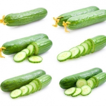 Quality High Yield Short Fruit Kind Hybrid Cucumber Seeds SXC No.8 thumbnail-2