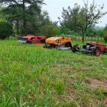 Remote Control Mower Price, China Remote Control Mower Price, Rechargeable Brush Cutter for Sale thumbnail-1