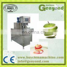 Dried Mango Processing Plant thumbnail-4