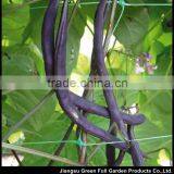 Plant Support Net thumbnail-2