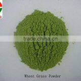 Natural Dehydrated Fruit Powders thumbnail-6