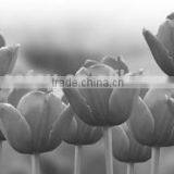 Flower Painting Canvas Prints Canvas Photo Printing Canvas Pictures High Q. Wall Decor Paintings on Canvas